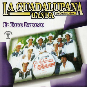 La Muerte Del Gavilan