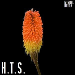 H.T.S.