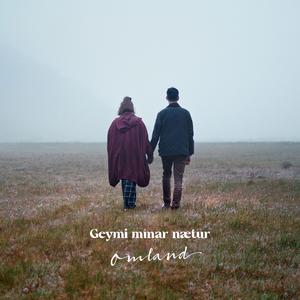 Geymi mínar nætur