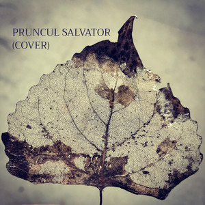Pruncul Salvator