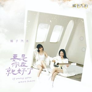 要是你在就好了