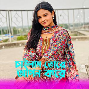চাইলাম তোরে আপন করে