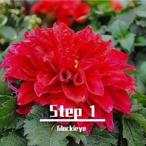 瑞思拜（prod by Jerry the Producer）