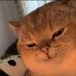 Project-清平调_一小段.wav