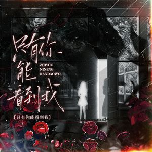 只有你能看见我