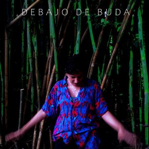 Debajo De Buda