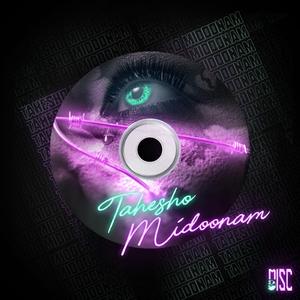 Tahesho Midoonam (feat. Ali Amirian)