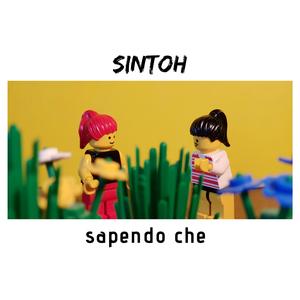 Sapendo Che
