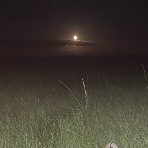 Moon power