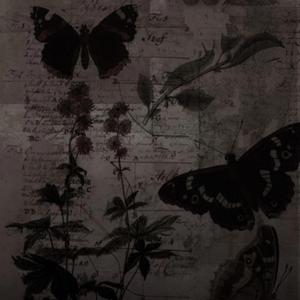 tether (feat. heyvelli)