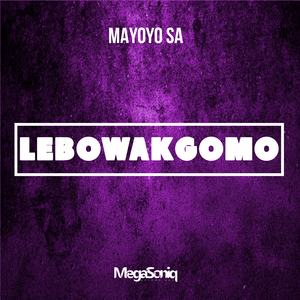 Lebowakgomo