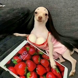 彩虹爱-整曲.wav