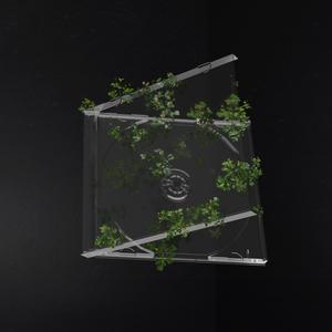 Sundays (feat. Joel Dust)