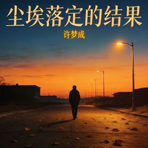 尘埃落定的结果