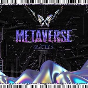 METAVERSE