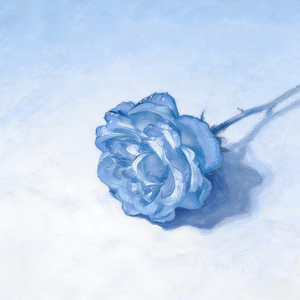 昨夜是谁趁我没注意把月亮按进洗脸池里