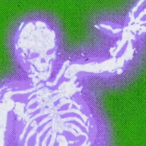 1 echelon（Prod by 花花最可爱）