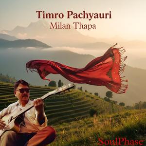 Timro Pachyauri