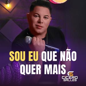 Sou Eu Que Não Quer Mais