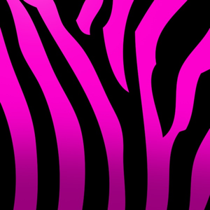 Chasing the Sunshine