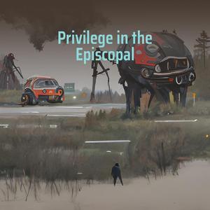 Privilege in the Episcopal