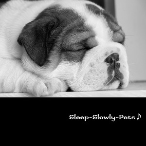 スリープ・スローリー・ペット♪