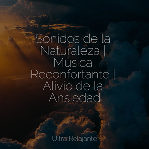 El Tiempo Retrocede