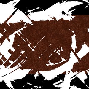 The Bright and Bold Colors of Life