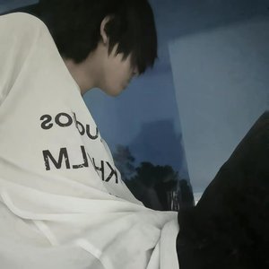 猪屁登
