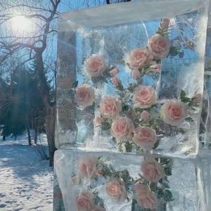 灰色独白_梵花落地