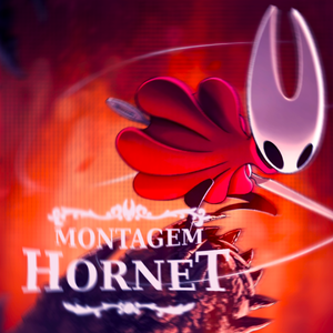 MONTAGEM HORNET