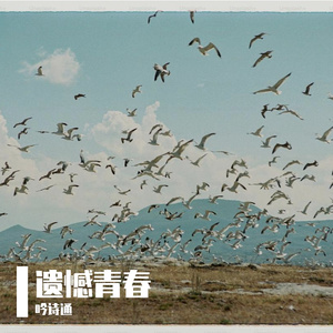 遗憾青春