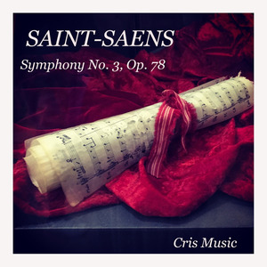 Saint-Saëns: Symphony No. 3, Op. 78, II.b. Maestoso, Allegro