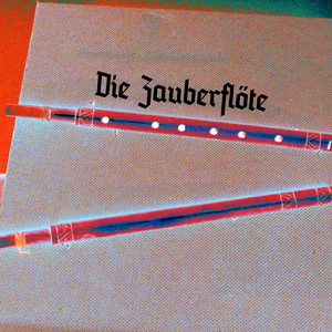 Die Zauberflöte, K. 620, Act 1: "Hm! hm! hm!"