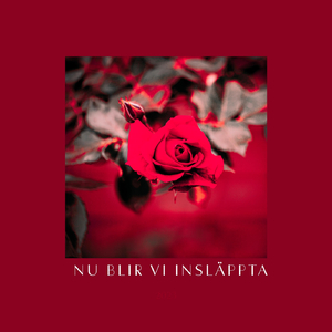 Inte imponerad av fascination