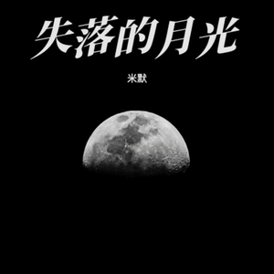 失落的月光