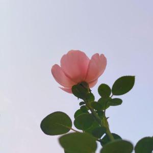 治愈至于止于致郁