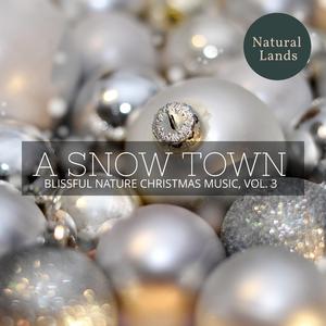 Danky Evening Forest