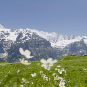 江声入旧年（古筝）