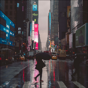 Little Flowers In Spring