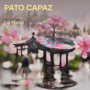 Pato Capaz