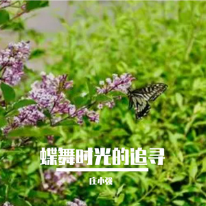 蝶舞时光的追寻 伴奏