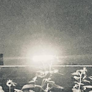 The Train to Wittlich