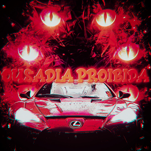 Ousadia Proibida (Super Slowed)