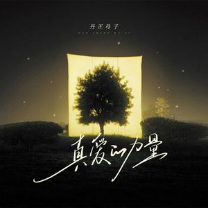 真爱的力量 (丹正母子版)