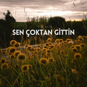 Sen Çoktan Gittin