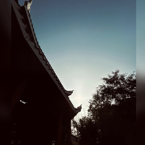 害怕扑空害怕心痛