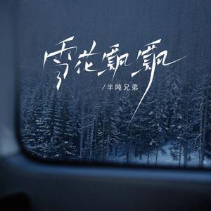 雪花飘飘 (DJ铁柱版)