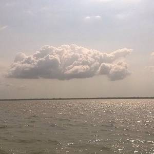 陈小春-我爱的人（陳梦嘉 remix）