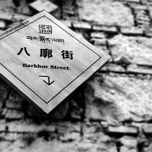 拉萨啤酒（翻自 风子）